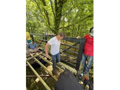 IMG_9495